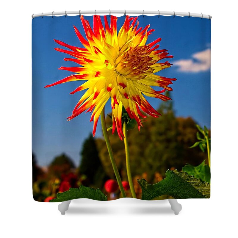Flower Shower Curtain featuring the photograph Blooms of Spring by Nick Zelinsky Jr