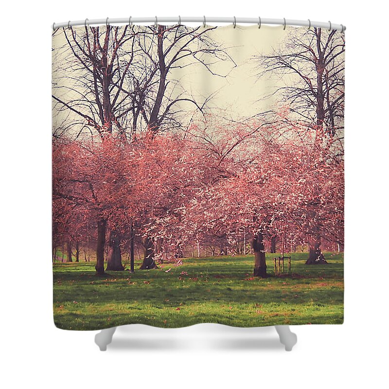 Tranquility Shower Curtain featuring the photograph Blossom Tree In Spring by Sherif A. Wagih (s.wagih@hotmail.com)