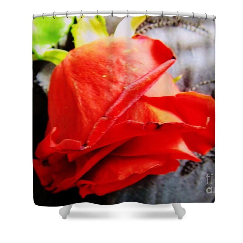 Blossoming Shower Curtain featuring the photograph Blossoming Red by Robyn King