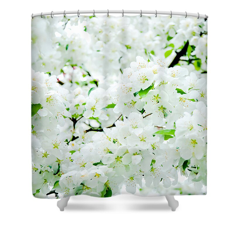 Blossoms Shower Curtain featuring the photograph Blossoms Squared by Greg Fortier
