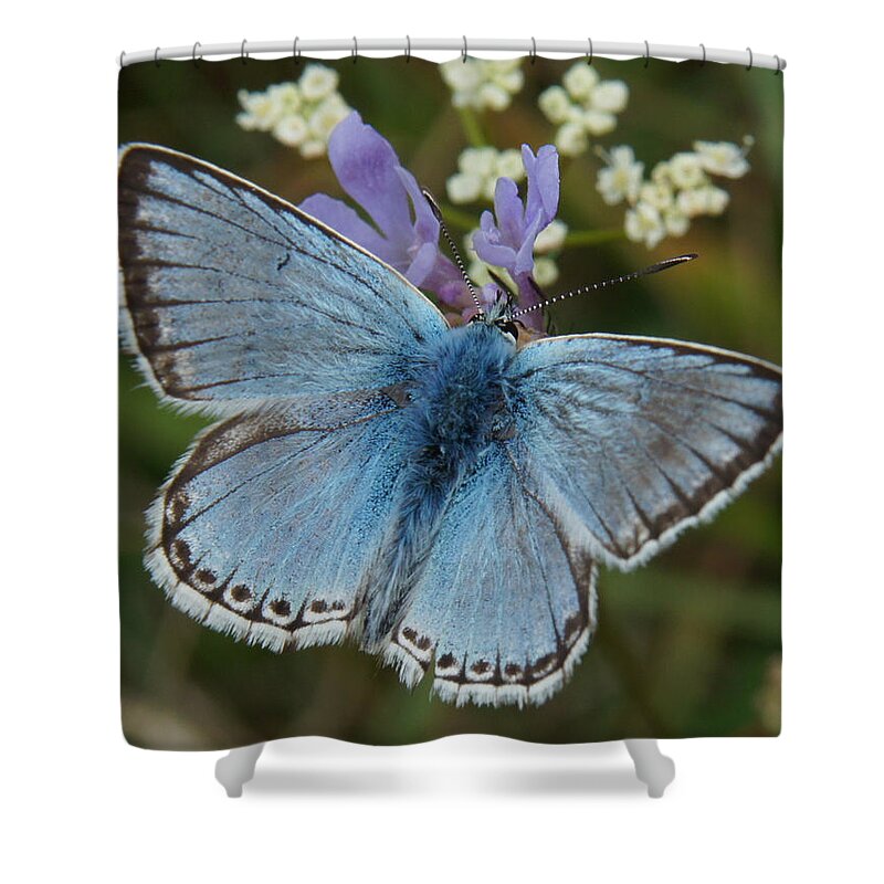 Butterflay Shower Curtain featuring the digital art Blue butterfly by Ron Harpham