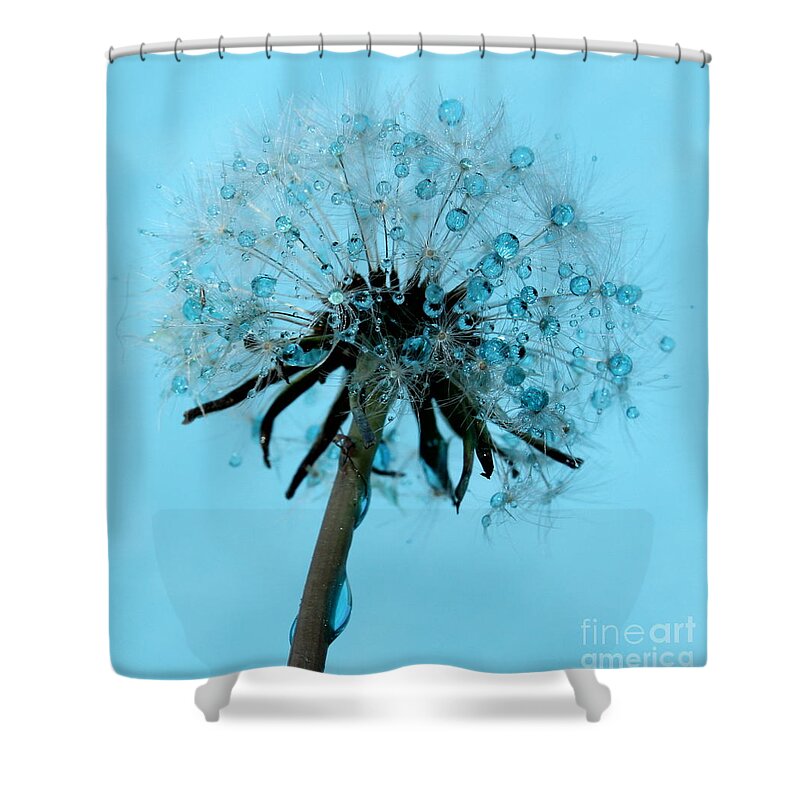 Dandelion Shower Curtain featuring the photograph Blue Dandelion Wish by Krissy Katsimbras