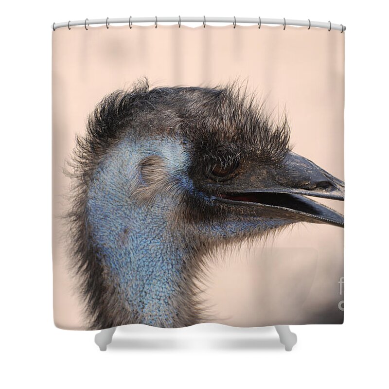 Feathered Head of a Blue Emu Bird Metal Print by DejaVu Designs - Fine Art  America