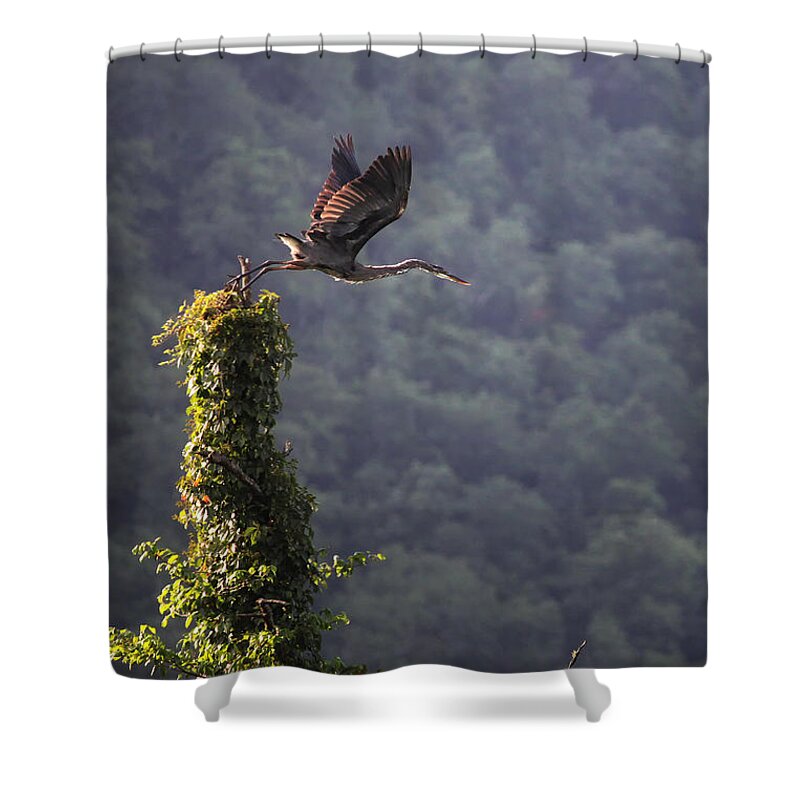 Blue Heron Shower Curtain featuring the photograph Blue Heron Leaving Snag by Michael Dougherty