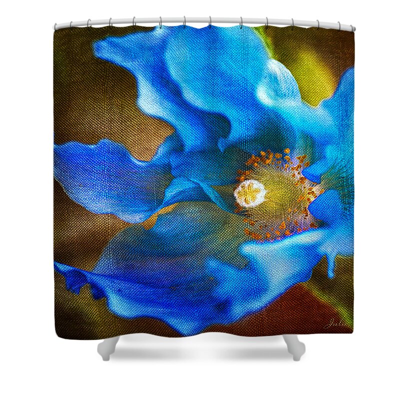 Himalayan Poppy Shower Curtain featuring the photograph Blue Himalayan Poppy by Julie Palencia
