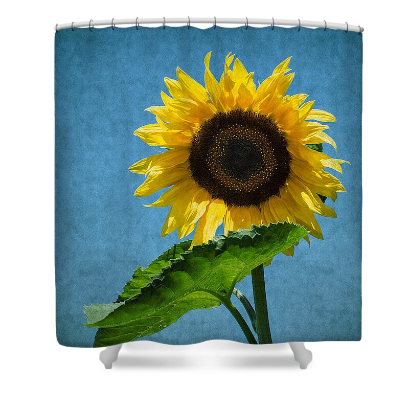 Sunflower Shower Curtain featuring the photograph Blue Is My World by Arlene Carmel