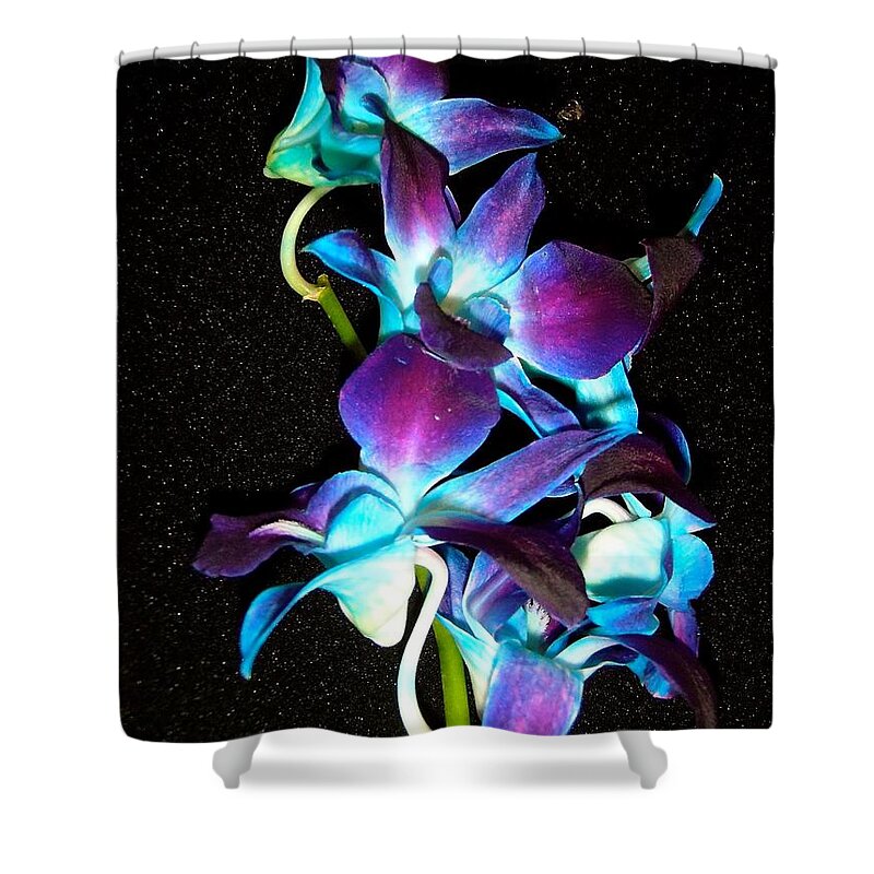 Flowers Shower Curtain featuring the photograph Blue Orchids by Stephanie Moore
