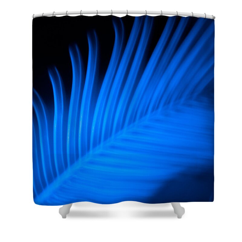 Art Shower Curtain featuring the photograph Blue Palm by Darryl Dalton