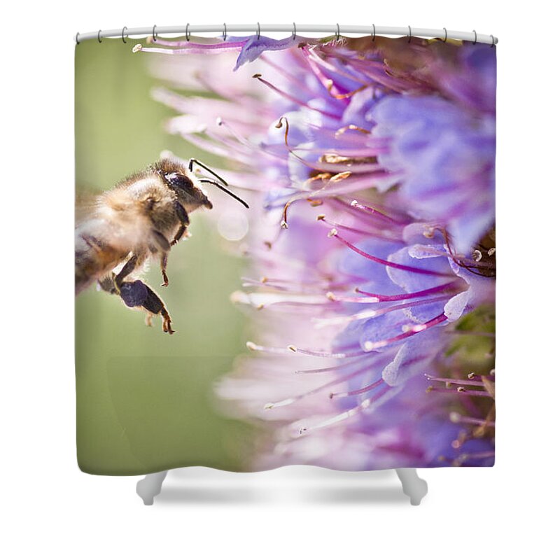 Bee Shower Curtain featuring the photograph Blue Pollen by Priya Ghose