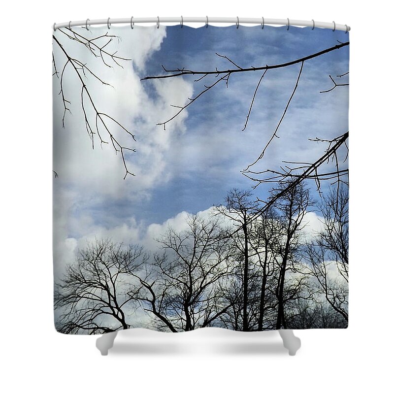 Winter Shower Curtain featuring the photograph Blue Skies of Winter by Robyn King