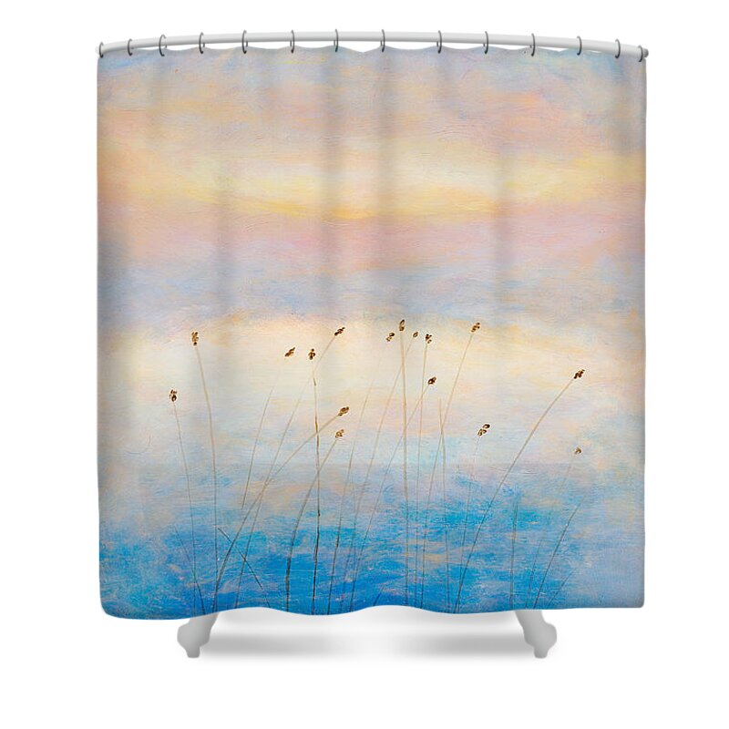  Acrylic Paintings Shower Curtain featuring the painting Blue Sunrise by Martin Capek