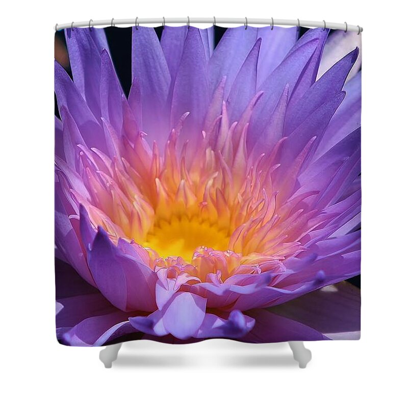 Nature Shower Curtain featuring the photograph Blue Waterlily 2 by Bruce Bley