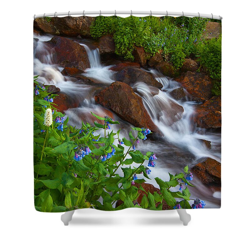 Stream Shower Curtain featuring the photograph Bluebell Creek by Darren White