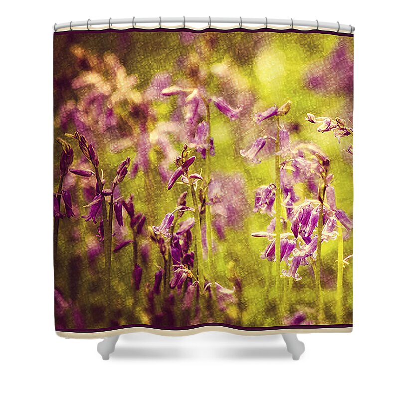 Bell Bottle Shower Curtain featuring the photograph Bluebell in the woods by Spikey Mouse Photography