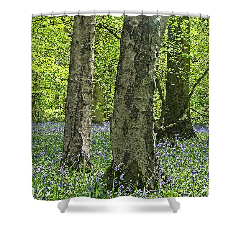 Bluebell Shower Curtain featuring the photograph Bluebell Wood 2 by Gill Billington