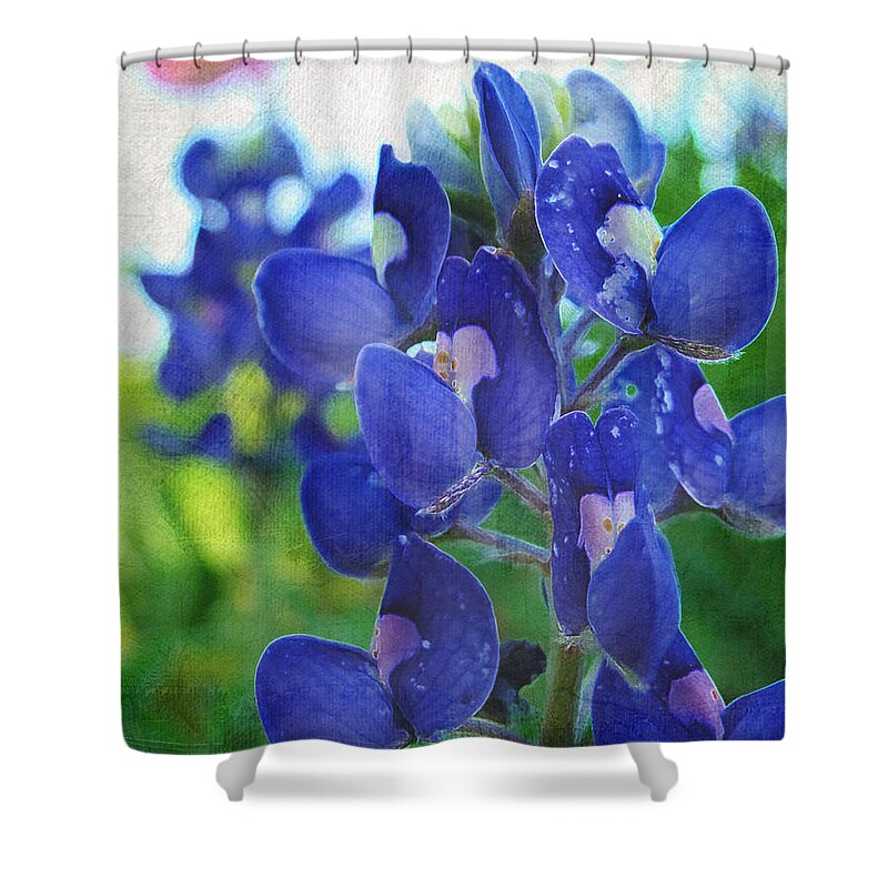 Texas Bluebonnet Shower Curtain featuring the photograph Bluebonnet Charmer by TK Goforth