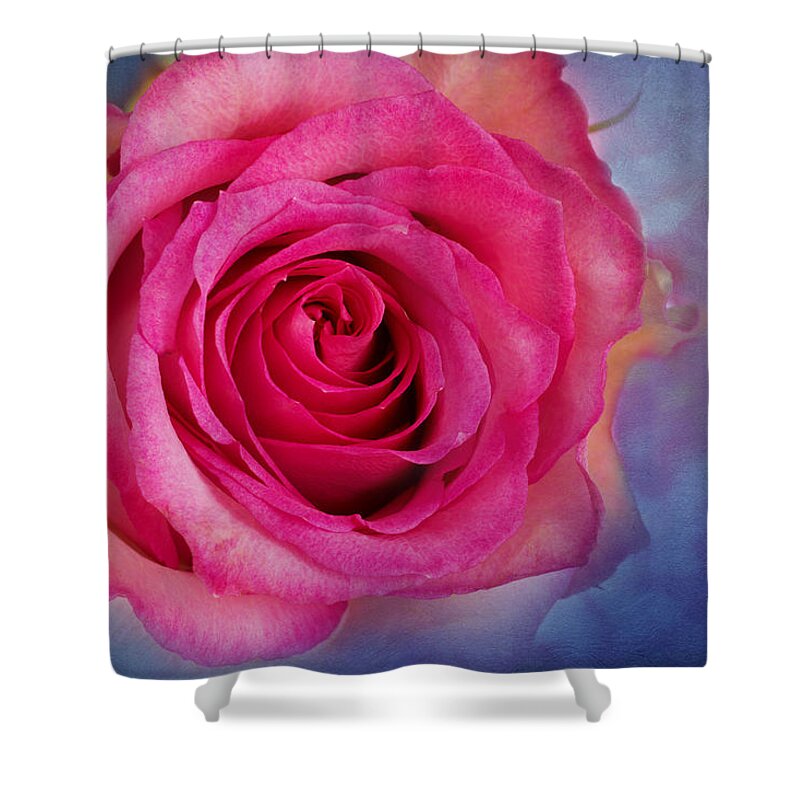 Pink Rose Shower Curtain featuring the photograph Blush by Marina Kojukhova