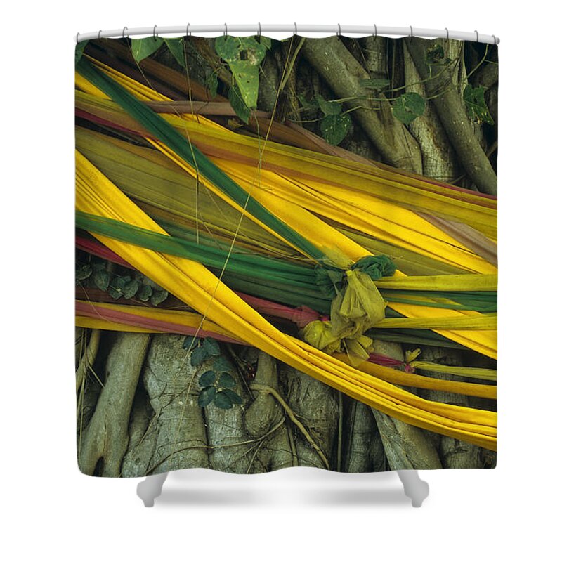 Asia Shower Curtain featuring the photograph Bodhi Tree by Maria Heyens