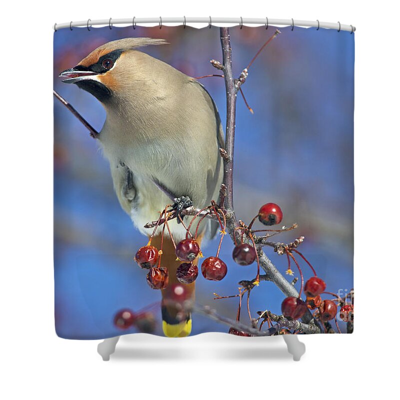 Festblues Shower Curtain featuring the photograph Bohemian Charm.. by Nina Stavlund