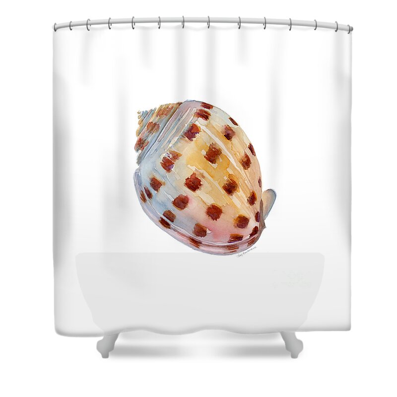 Shell Shower Curtain featuring the painting Bonnet Shell by Amy Kirkpatrick