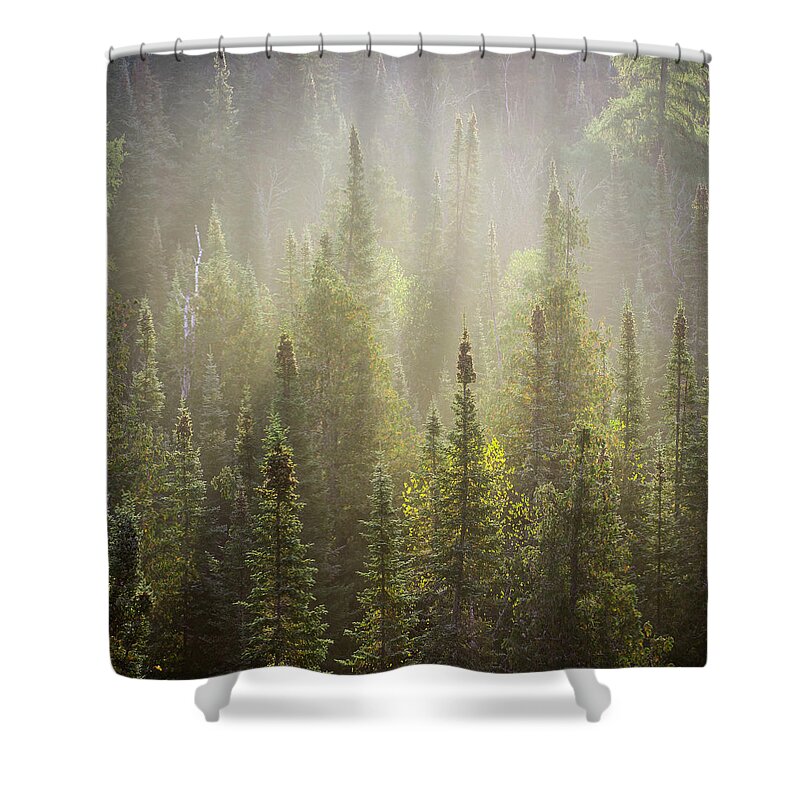 Boreal Shower Curtain featuring the photograph Boreal Morning by Jakub Sisak