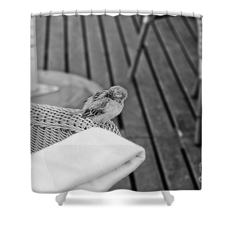 Sparrow Shower Curtain featuring the photograph Boring Party by Dariusz Gudowicz