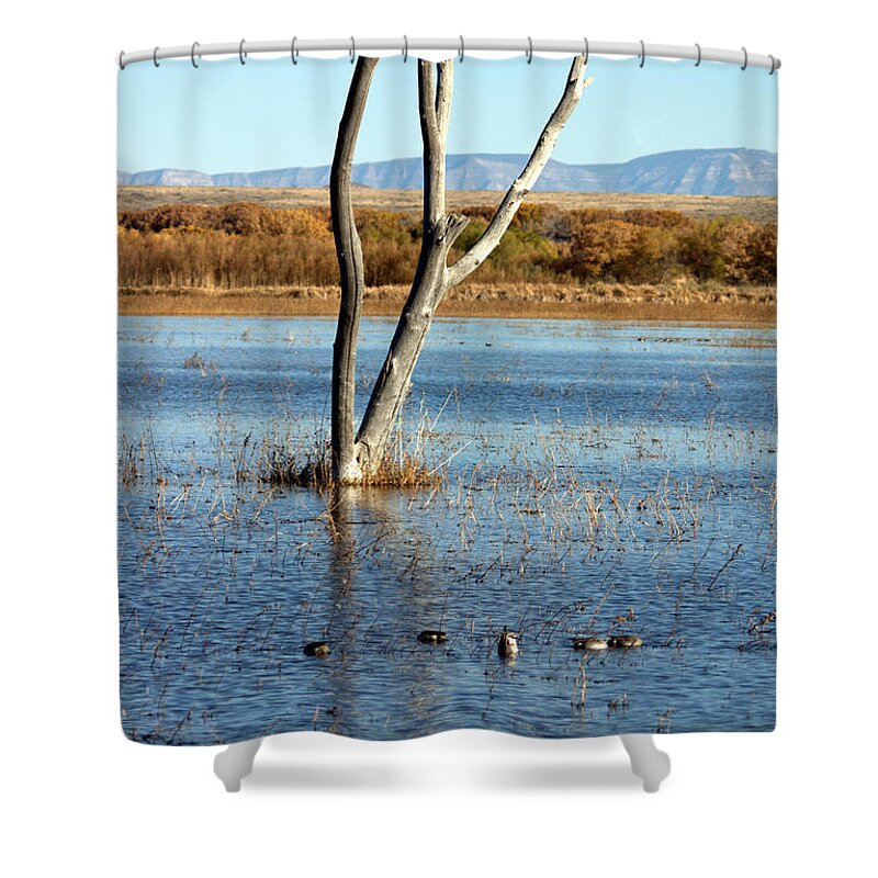 Landscape Shower Curtain featuring the photograph Bosque del Apache Landscape No. 2 by John Greco