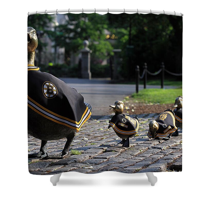 Bruins Shower Curtain featuring the photograph Boston Bruins Ducklings by Juergen Roth