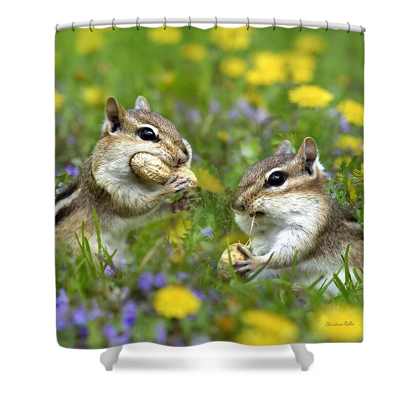 Chipmunks Shower Curtain featuring the photograph Chipmunk Friends by Christina Rollo