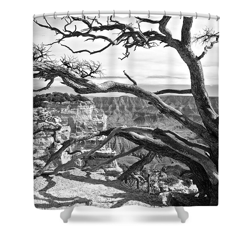 Landscape Shower Curtain featuring the photograph Branches by Richard Gehlbach