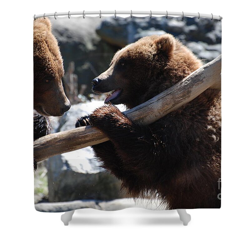 Bear Shower Curtain featuring the photograph Brawling Bears by DejaVu Designs