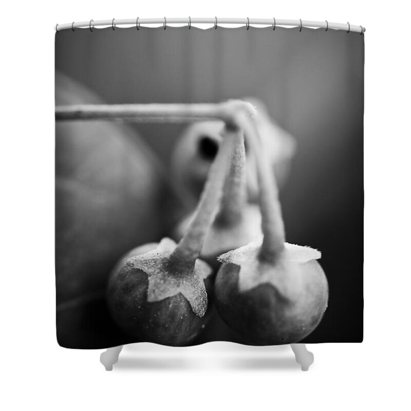 Blumwurks Shower Curtain featuring the photograph Break Your Fall by Matthew Blum