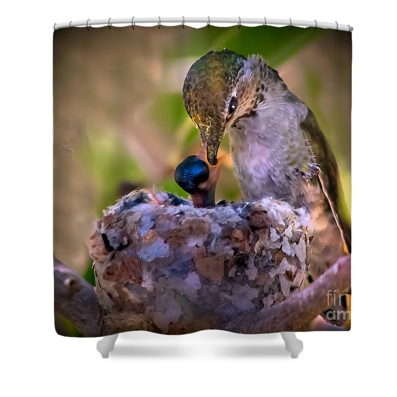 Fedding Shower Curtain featuring the photograph Breakfast by Robert Bales