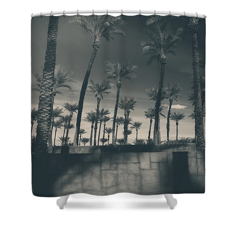 Palm Trees Shower Curtain featuring the photograph Breaking Down Walls by Laurie Search