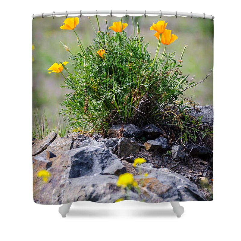California Shower Curtain featuring the photograph Breaking Through The Rock by David Hart