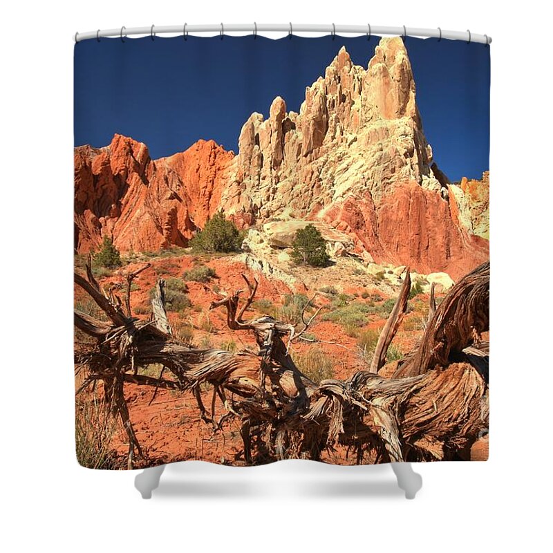Cottonwood Road Shower Curtain featuring the photograph Bright And Twisted by Adam Jewell