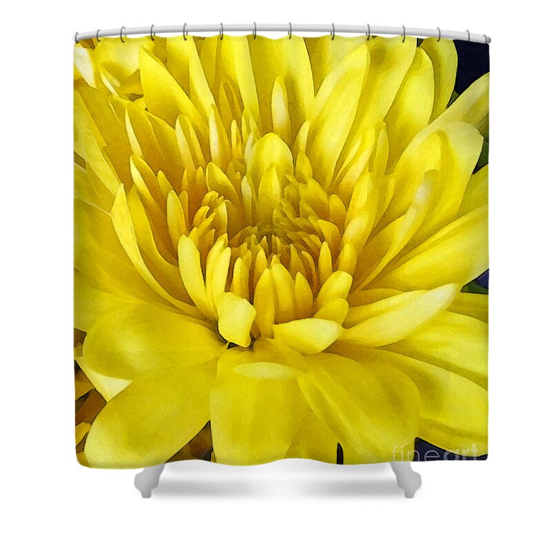 Wild Flowers Shower Curtain featuring the photograph Bright As The Sun by Cedric Hampton