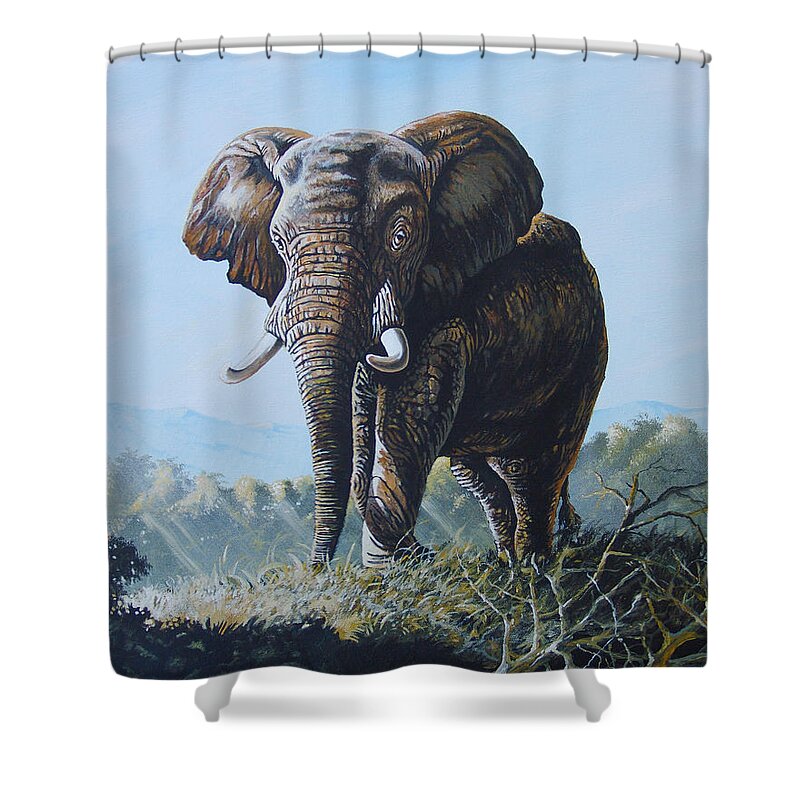 Lone Bull Shower Curtain featuring the painting Bright Morning by Anthony Mwangi