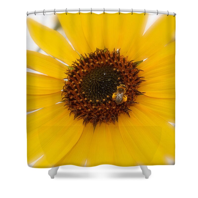 Single Vibrant Bright Yellow Sunflower Honey Bee Print Shower Curtain featuring the photograph Vibrant Bright Yellow Sunflower With Honey Bee by Jerry Cowart