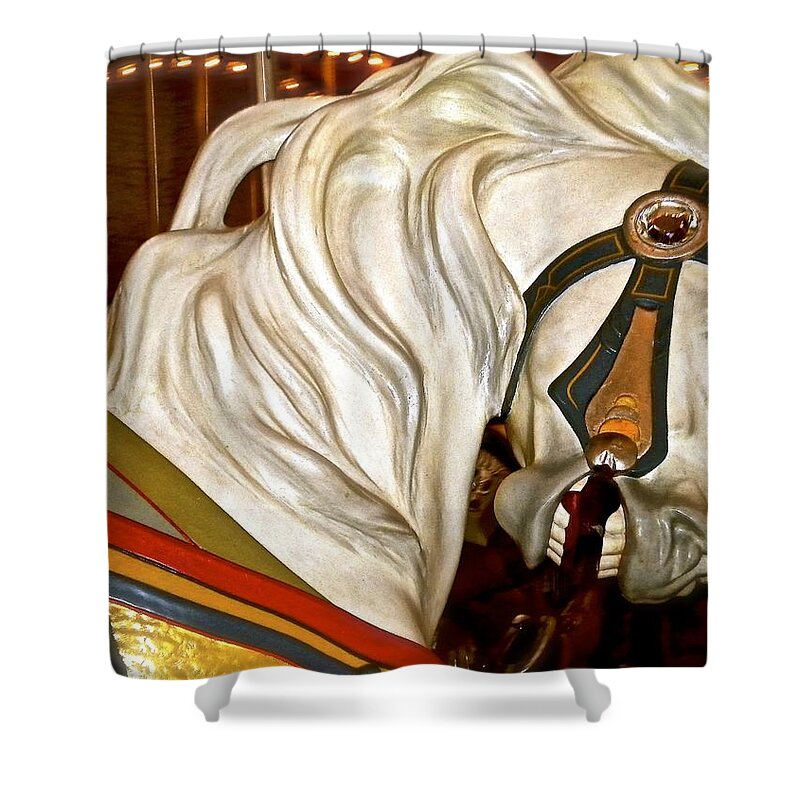 Carousel Shower Curtain featuring the photograph Brooklyn Hobby Horse by Joan Reese