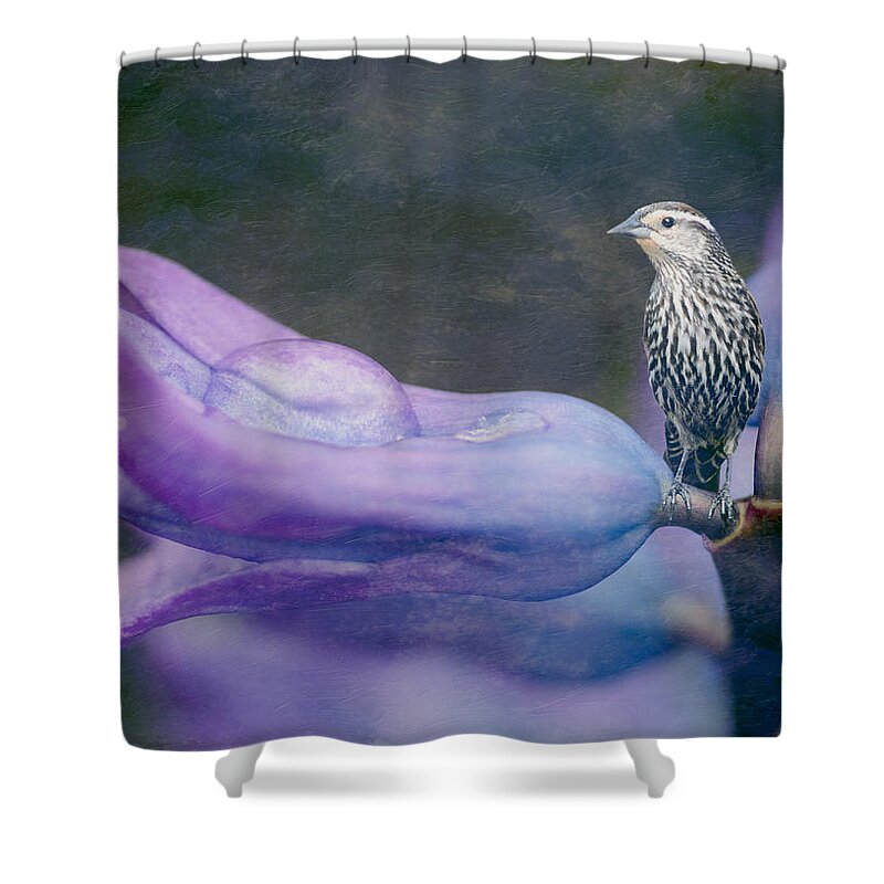 Brown Bird Shower Curtain featuring the photograph Brown Bird on a Purple Flower by Crystal Wightman