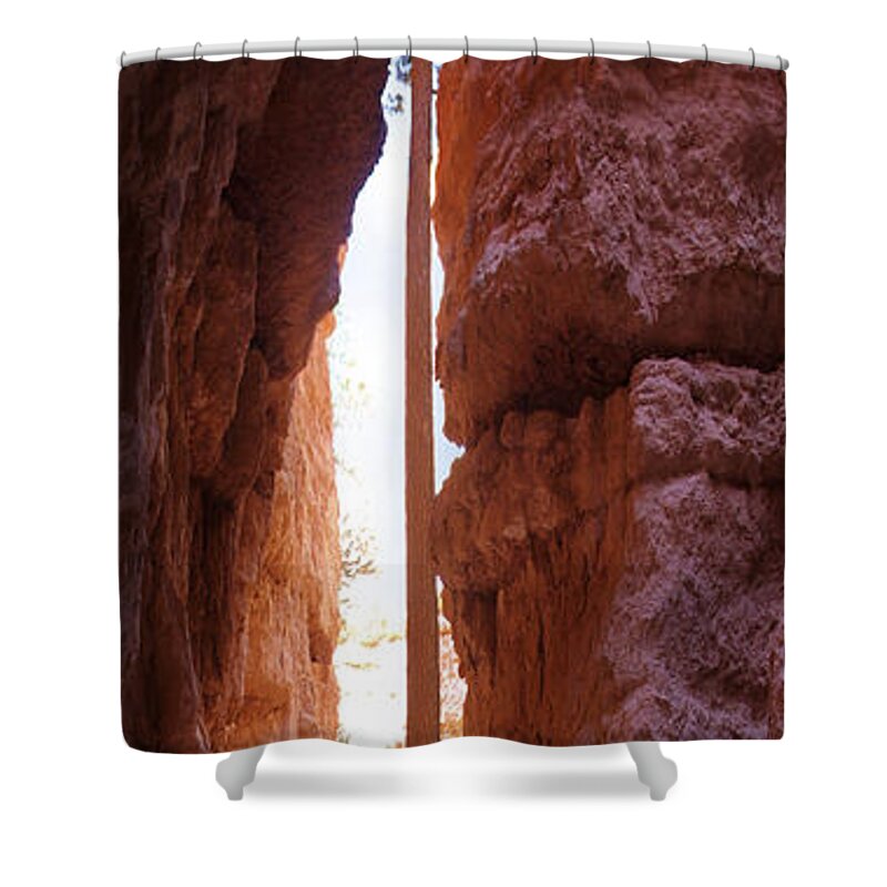 Bryce Canyon Shower Curtain featuring the photograph Bryce Canyon from the Bottom Panoramic by Mike McGlothlen