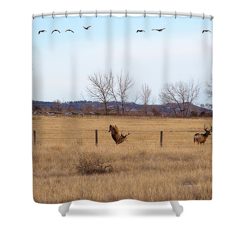 Deer Jumping Phoograph Shower Curtain featuring the photograph Bucks and Geese by Jim Garrison
