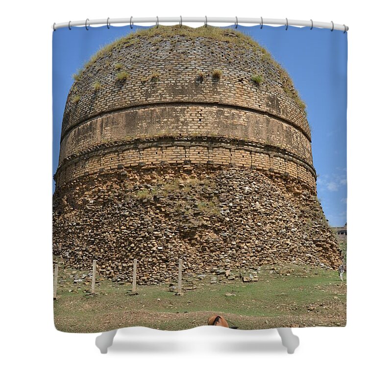 Zen Shower Curtain featuring the photograph Buddhist religious stupa horse and mules Swat Valley Pakistan by Imran Ahmed