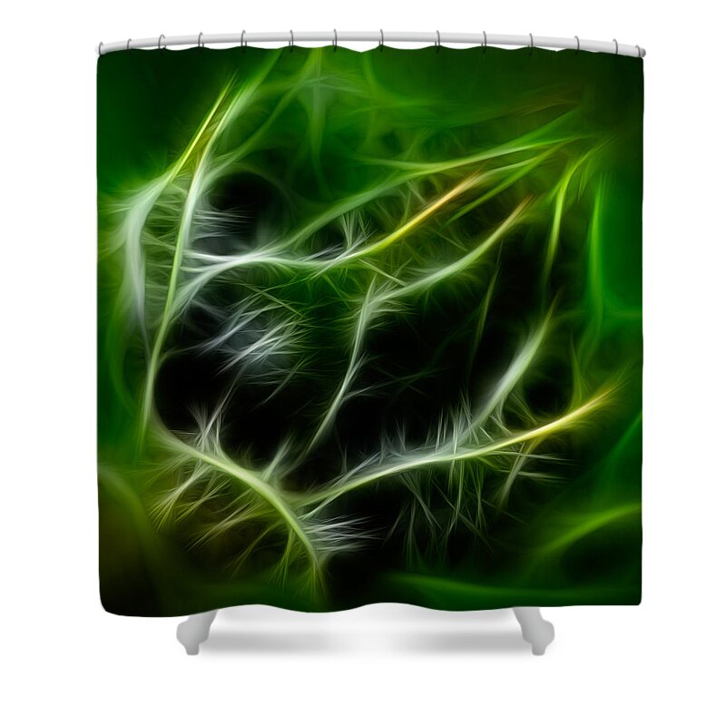Spring Shower Curtain featuring the painting Budding Beauty by Omaste Witkowski