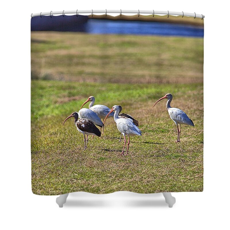 9602 Shower Curtain featuring the photograph Bug Hunting by Gordon Elwell