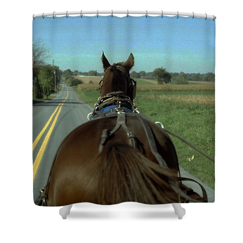 Landscape Shower Curtain featuring the photograph Buggy Ride by Joyce Wasser