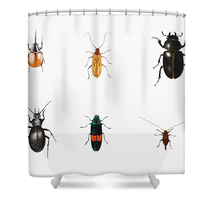 Bugs Shower Curtain featuring the painting Bugs by Ele Grafton