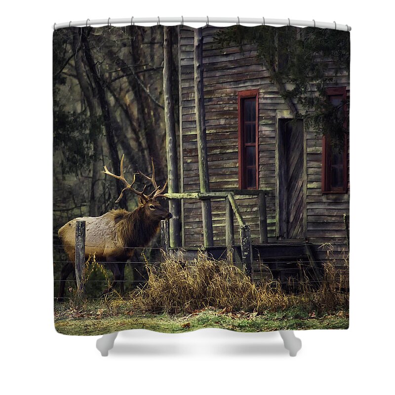 Bull Elk Shower Curtain featuring the photograph Bull Elk by the Old Boxley Mill by Michael Dougherty