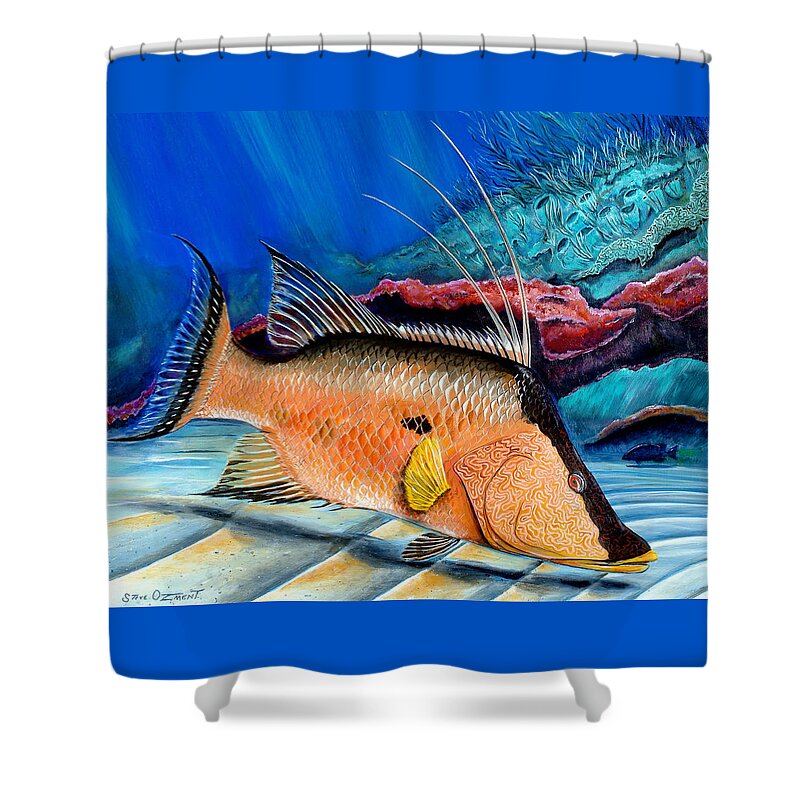 Reef Shower Curtain featuring the painting Bull Hogfish by Steve Ozment